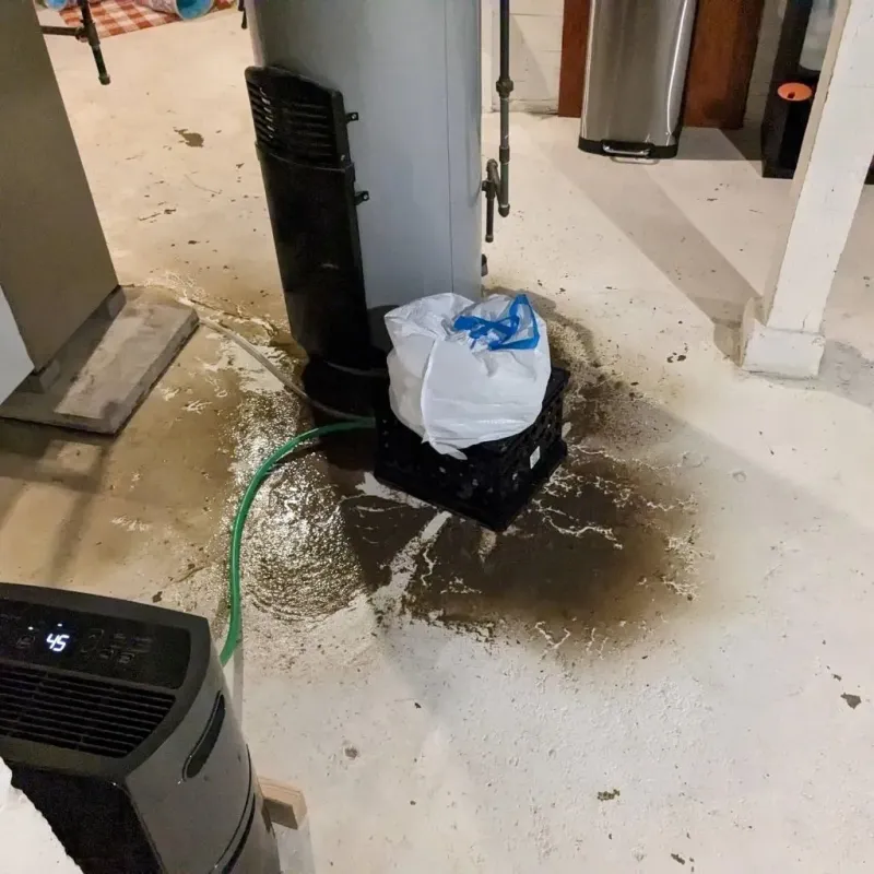 Sewage Backup Cleanup Service in Marble Falls, TX